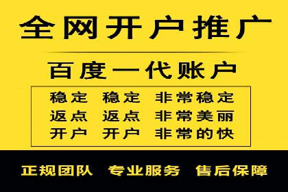百度SEM代运营案例揭秘，如何实现ROI最大化